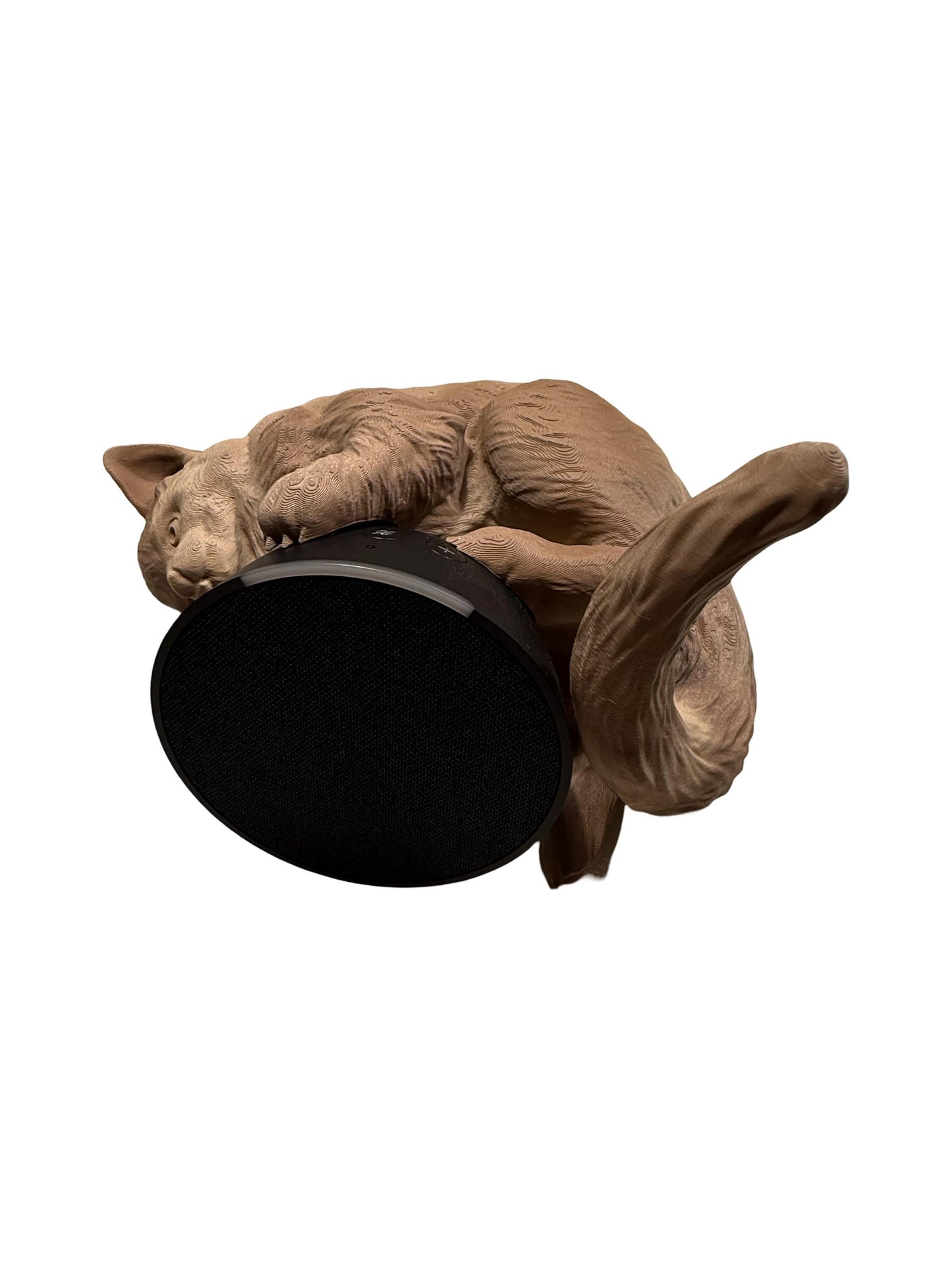 Gemütliche Katze Alexa Halterung - 3D Gedruckt