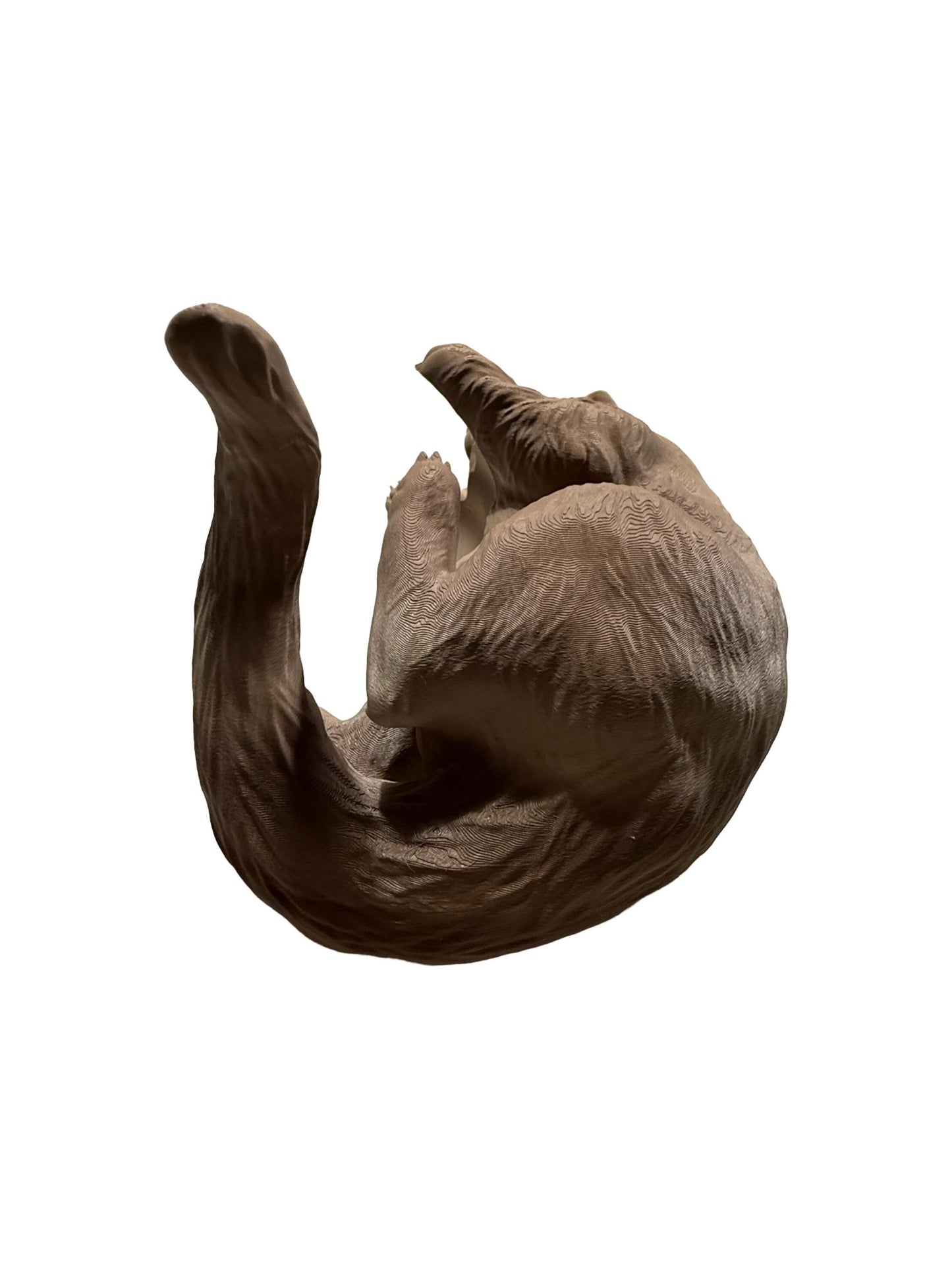 Gemütliche Katze Alexa Halterung - 3D Gedruckt