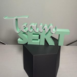 Schriftzug Team Sekt in Mint und Weiß – 3D-Druck Deko