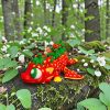 Erdbeerdrache – beweglicher 3D-Druck Drache im Erdbeer-Design – Ansicht 2