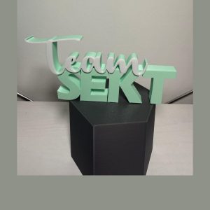 Schriftzug "Team Sekt" – Deko & Geschenkidee für Sektliebhaber